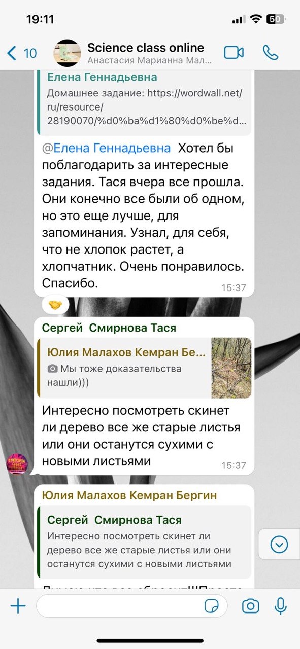 Отзыв